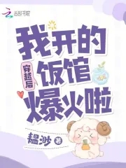 穿越后开了火锅店