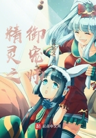 精灵宠物文