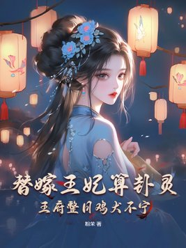 替嫁王妃原著小说