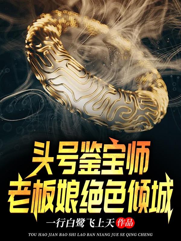 头号鉴宝师