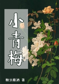小青梅唐述白