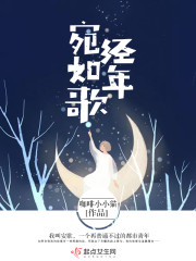 经年宛如歌txt