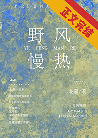 野风不见作品