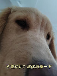 你不喜欢我就不说了