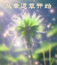 御兽:开局契约超级幸运免费阅读