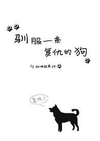 驯服一条复仇的狗小说免费阅读