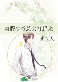 真假少爷总会打起来TXT下载