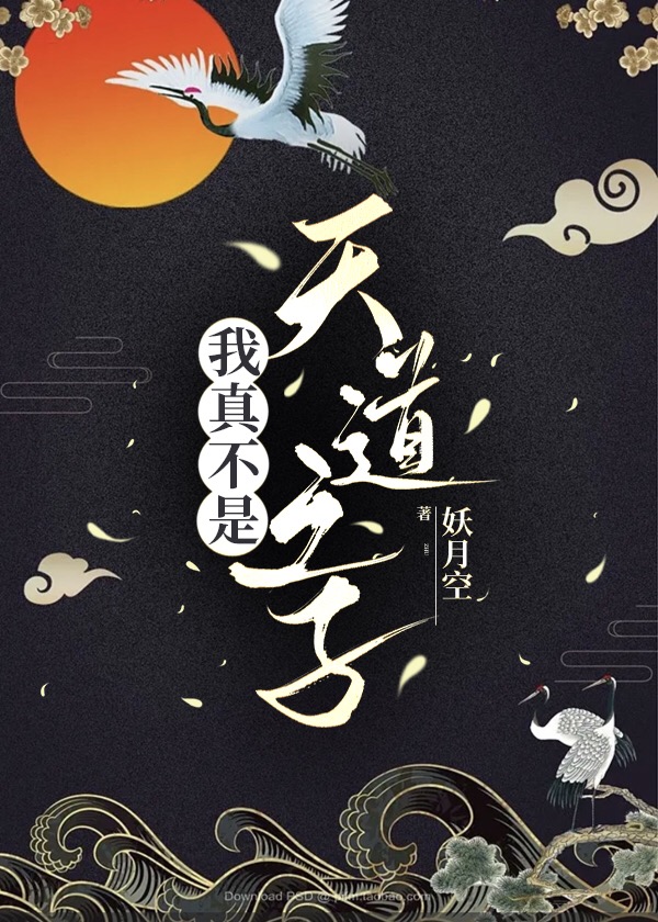 我真不是天道之子网盘
