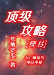 顶级攻略经典