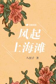 风雨上海滩电视剧全集免费观看