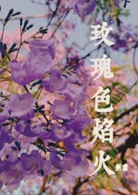 火焰玫瑰 小说