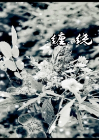 缠绕飘棠小说在哪里看