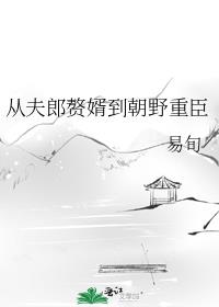 从夫郎赘婿到朝廷重臣小说