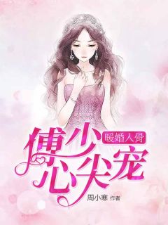 傅少谋妻:暖宠不休