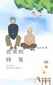 迟来的回复小说txt