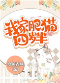 我家肥猫咪原版视频