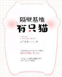 歌曲隔壁的猫
