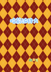 哈利波特大师卡牌