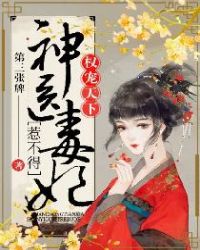 权宠天下:神医小毒妃 作者:黛墨