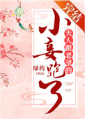 夫人跟老爷的小妾跑了 绿药晋江