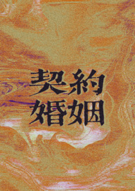 日剧我的契约婚姻