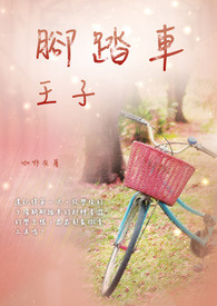 脚踏车王
