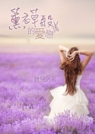 薰衣草之恋歌词