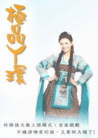 极品丫环小说