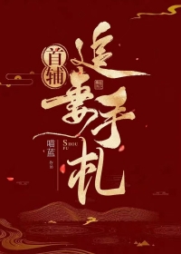 首辅宠妻手札悬姝笔趣阁